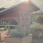 Buch: "Insektenhotel-eine Symbiose aus Architektur und Ökologie" von Björn Wollersheim