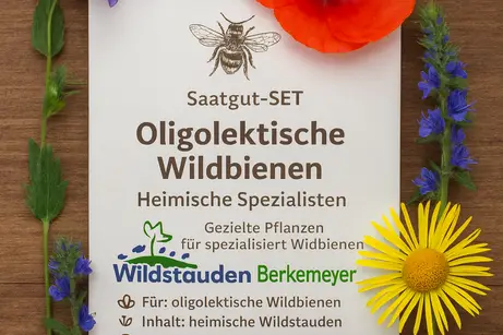 SET oliolektische01 b Saatgut-SET „Oligolektische Wildbienen – Heimische Spezialisten“ – Bild 1